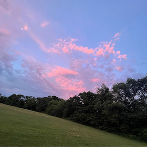 Meet your Posher, Allyson